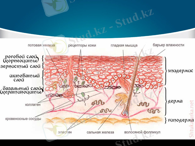 Slide 6
