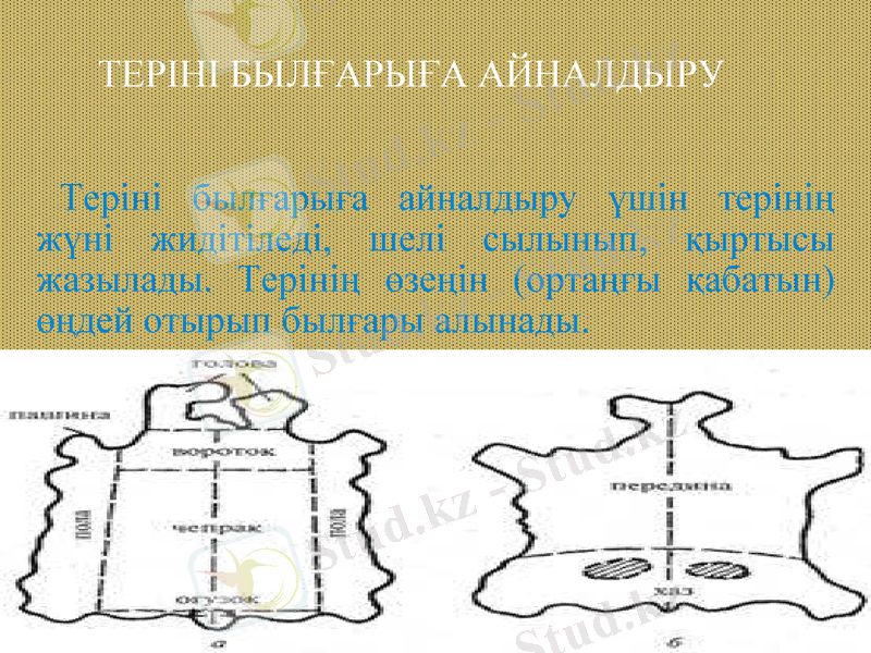Slide 7