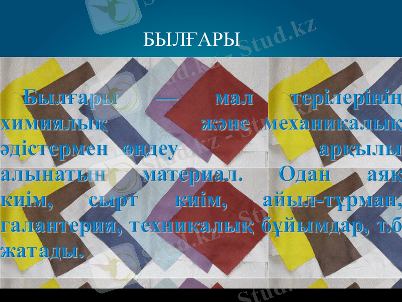 Slide 8