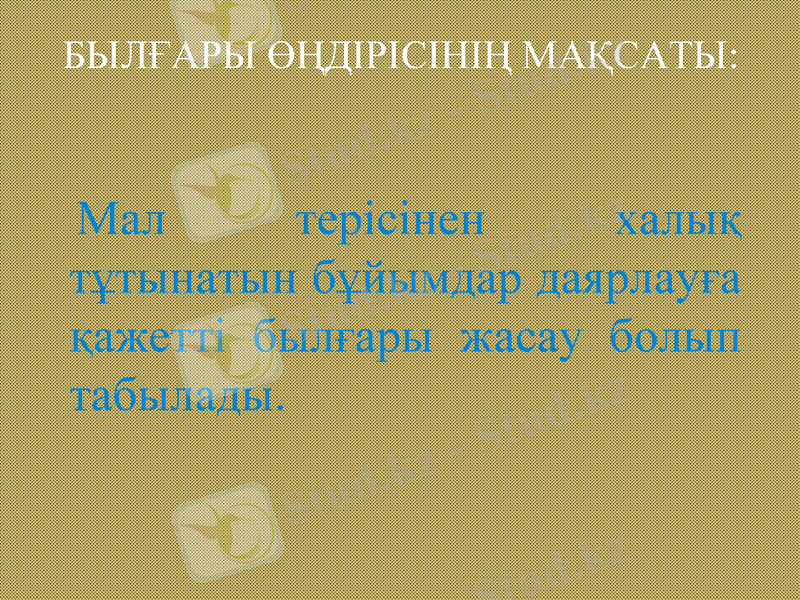 Slide 9