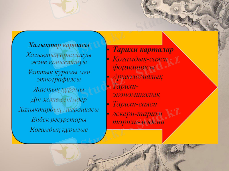 Slide 8