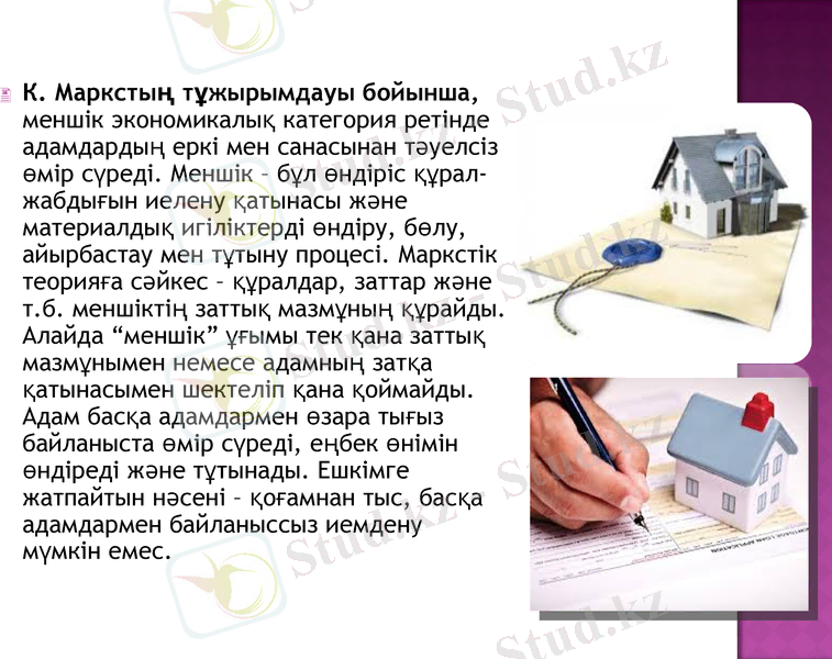 Slide 7