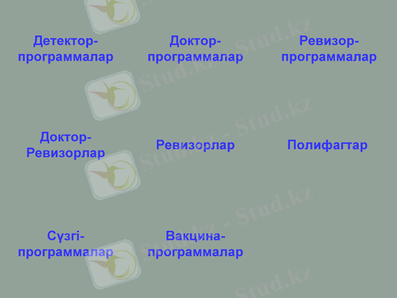 Slide 11