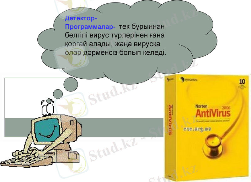 Slide 12