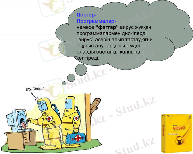 Slide 13