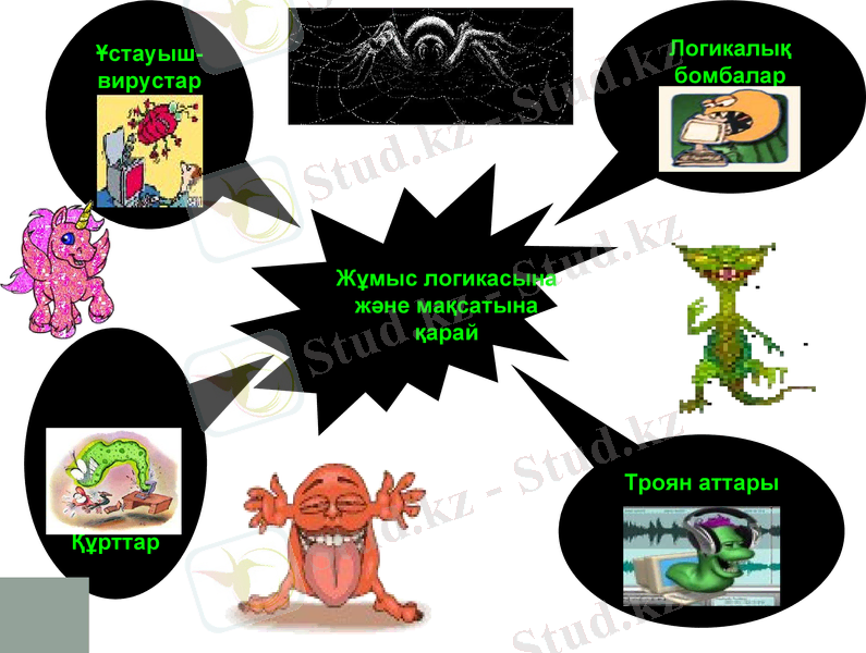 Slide 5