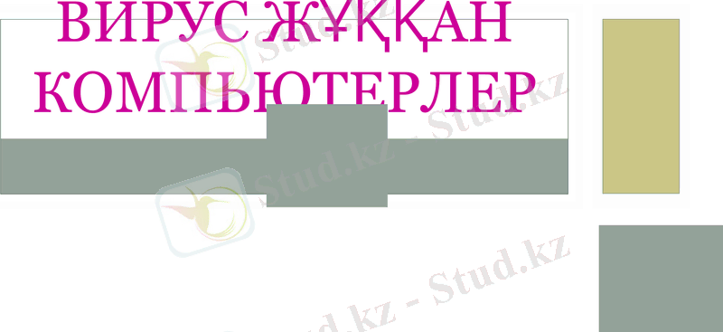 Slide 7