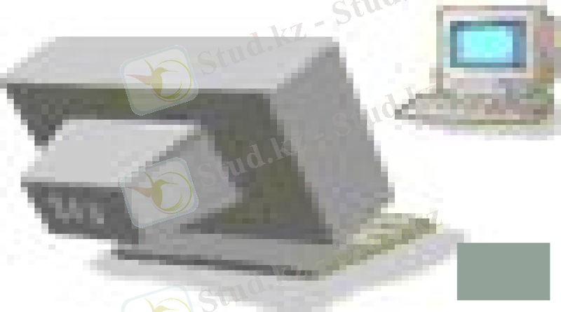 Slide 8