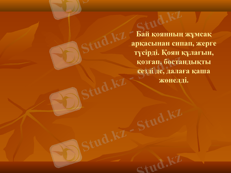 Slide 11