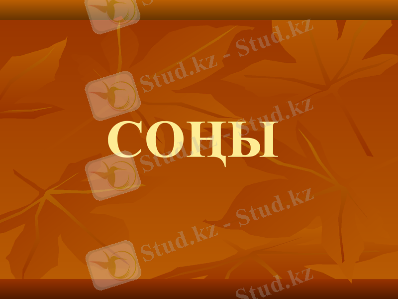 Slide 15