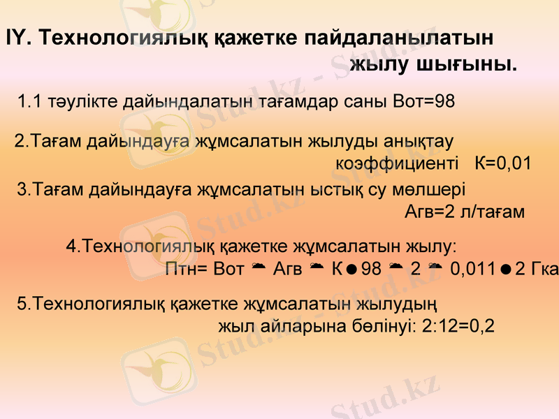 Slide 11