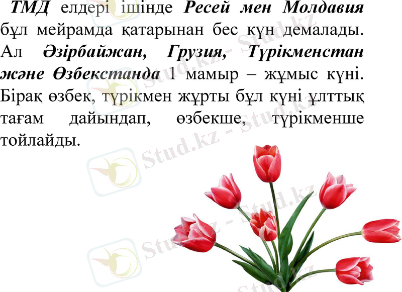 Slide 10