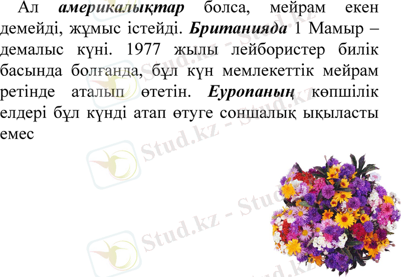 Slide 7