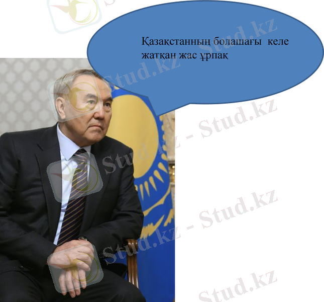 Slide 7