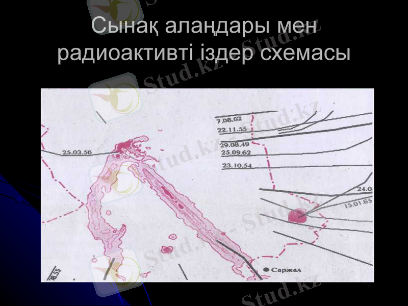 Slide 7