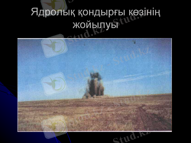 Slide 9