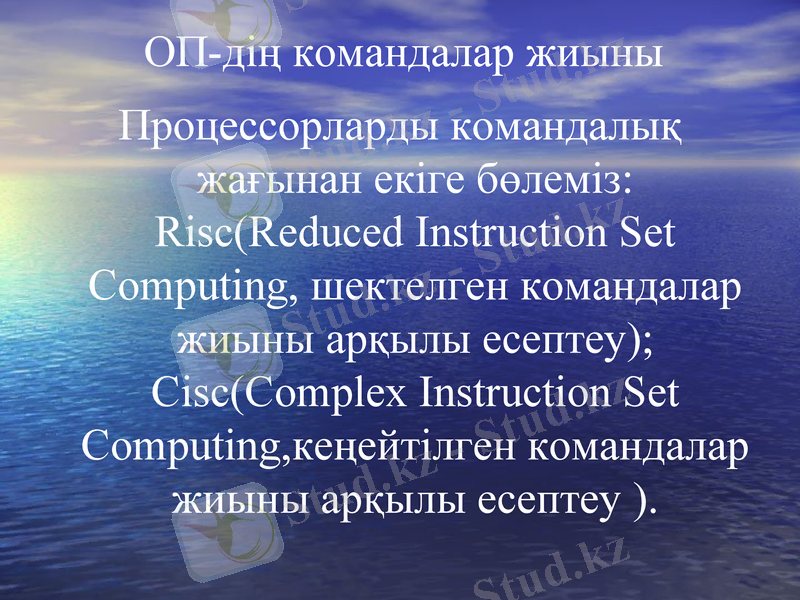 Slide 8