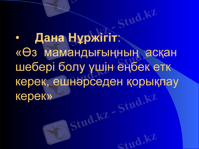Slide 12