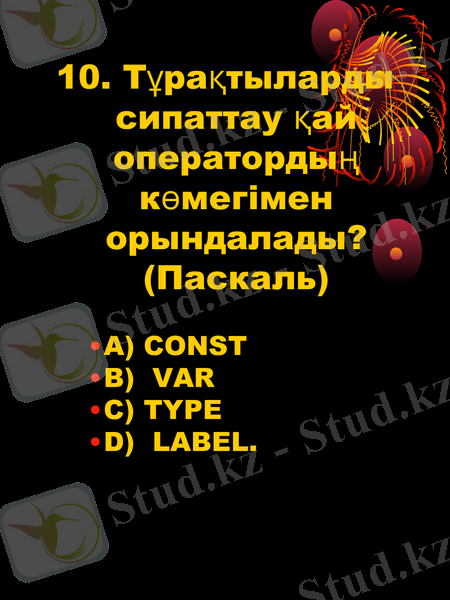 Slide 10