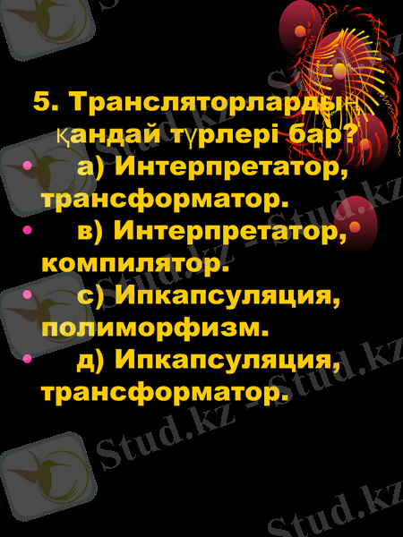 Slide 5