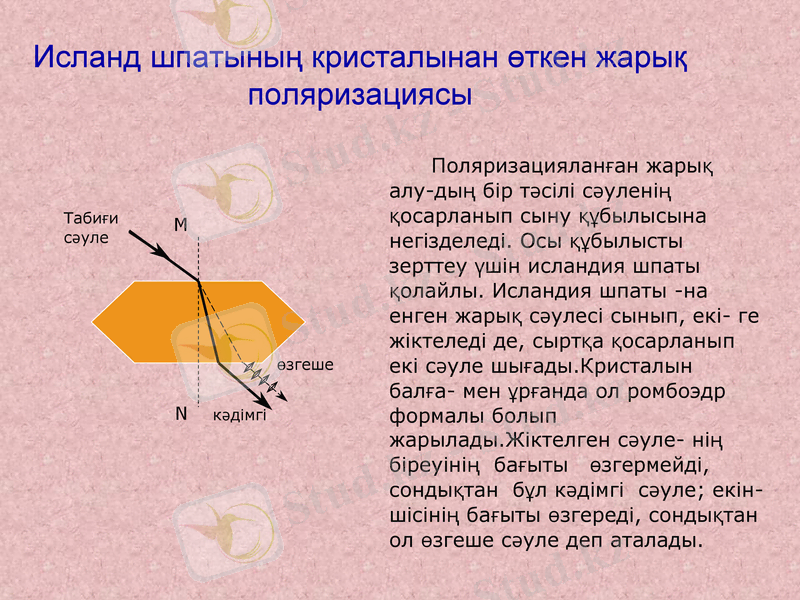 Slide 7