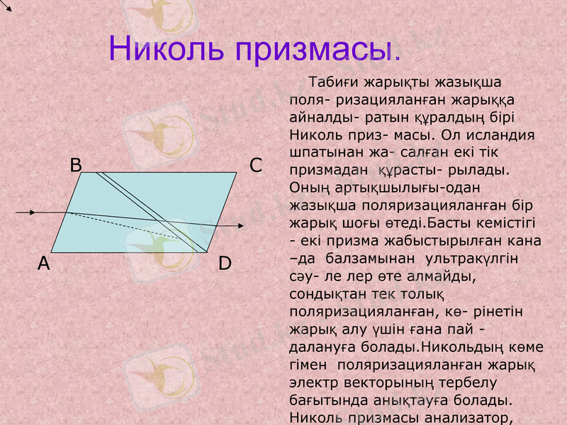 Slide 8
