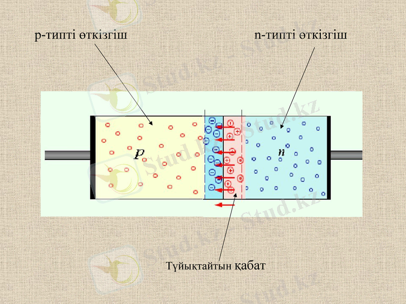 Slide 6