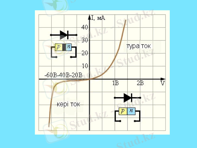 Slide 8