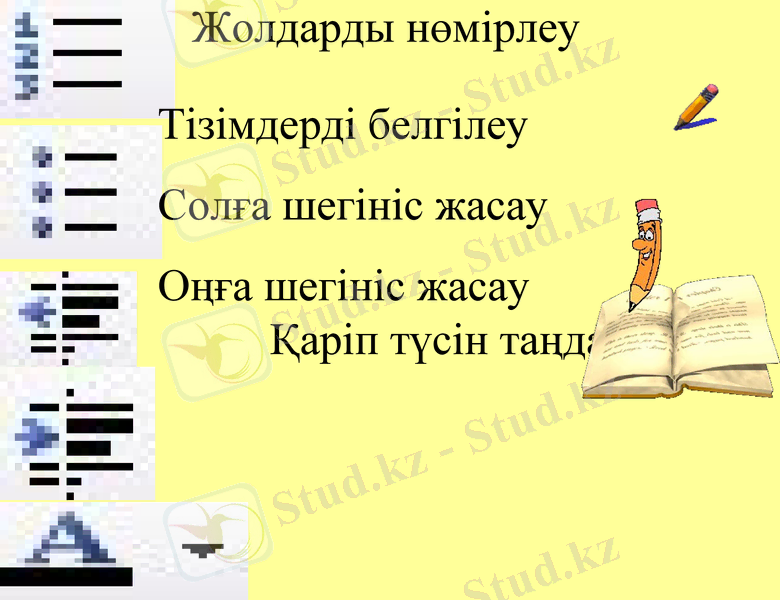 Slide 11