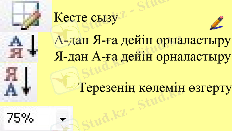 Slide 8