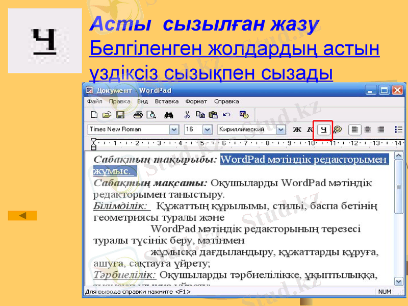 Slide 24