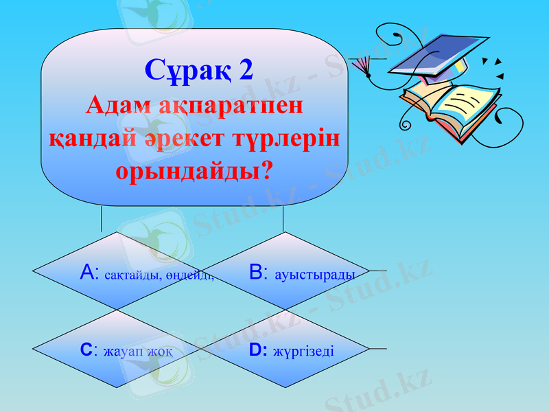 Slide 6