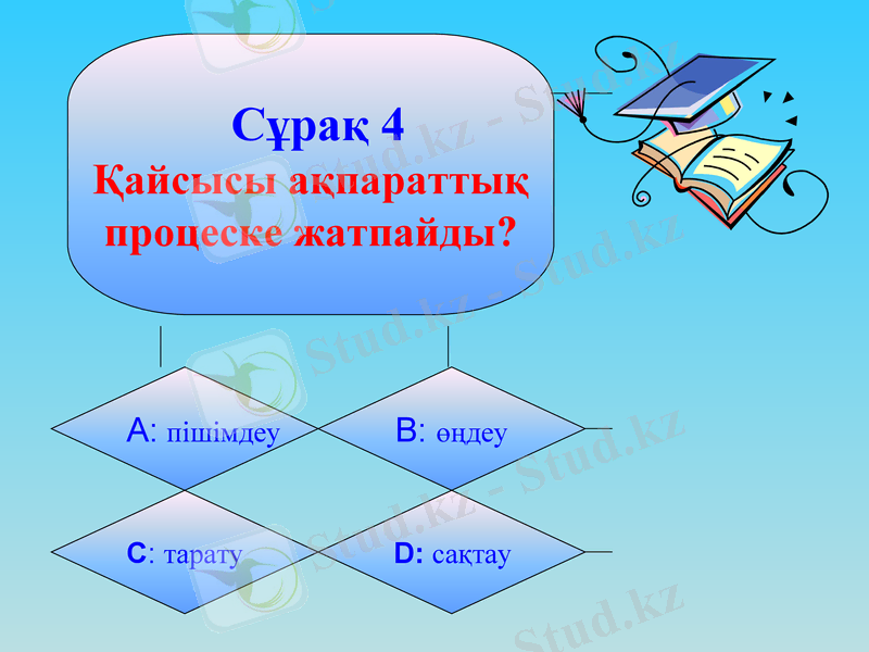 Slide 8