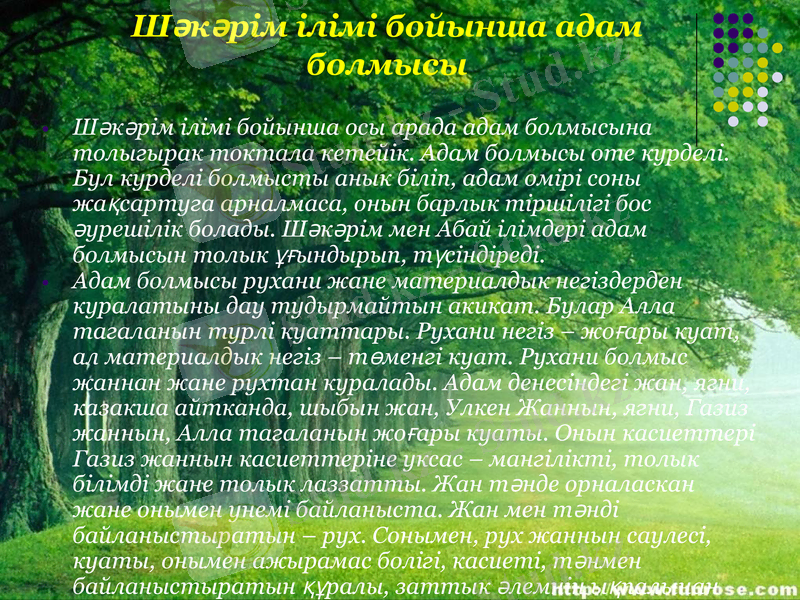 Slide 12