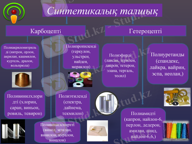 Slide 7