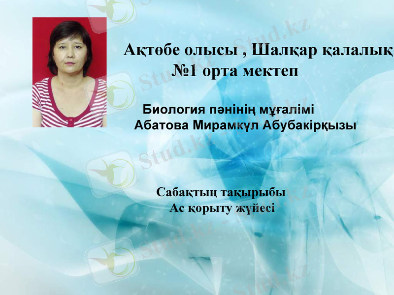 Slide 1