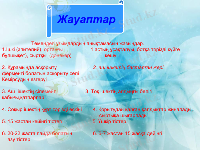 Slide 11