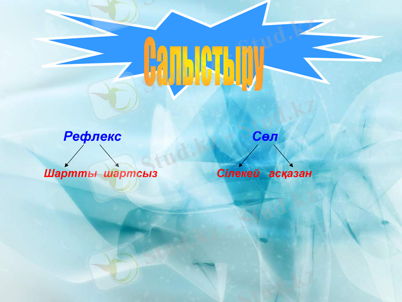 Slide 12