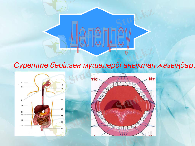 Slide 6