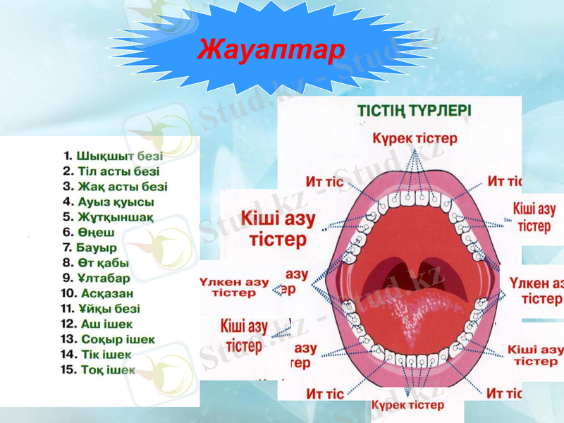 Slide 7