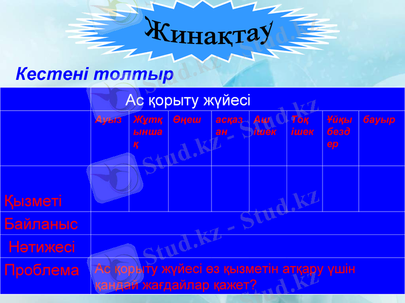 Slide 8