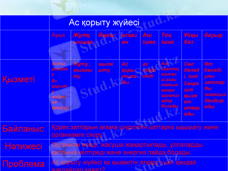 Slide 9
