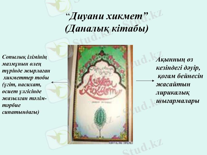 Slide 6