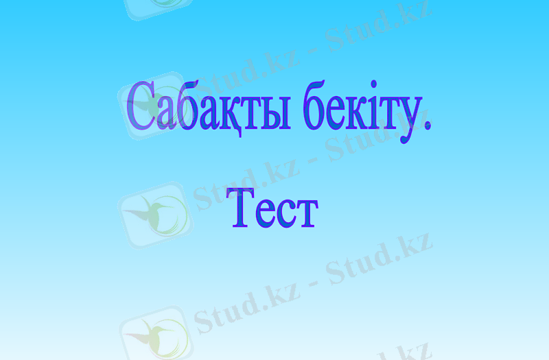 Slide 12