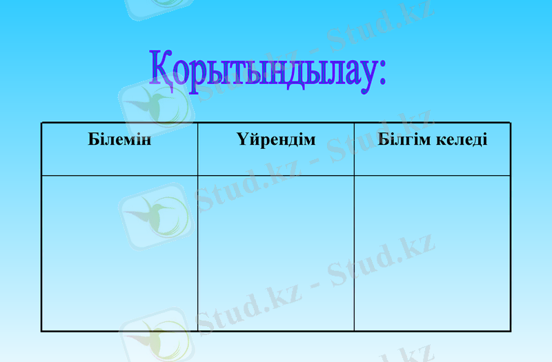 Slide 13