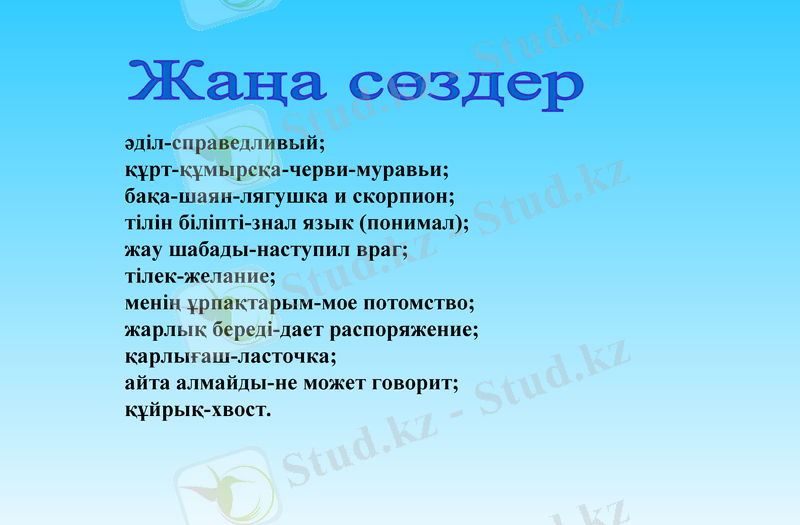 Slide 6