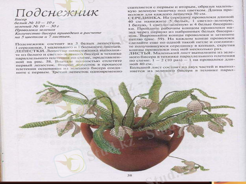 Slide 15