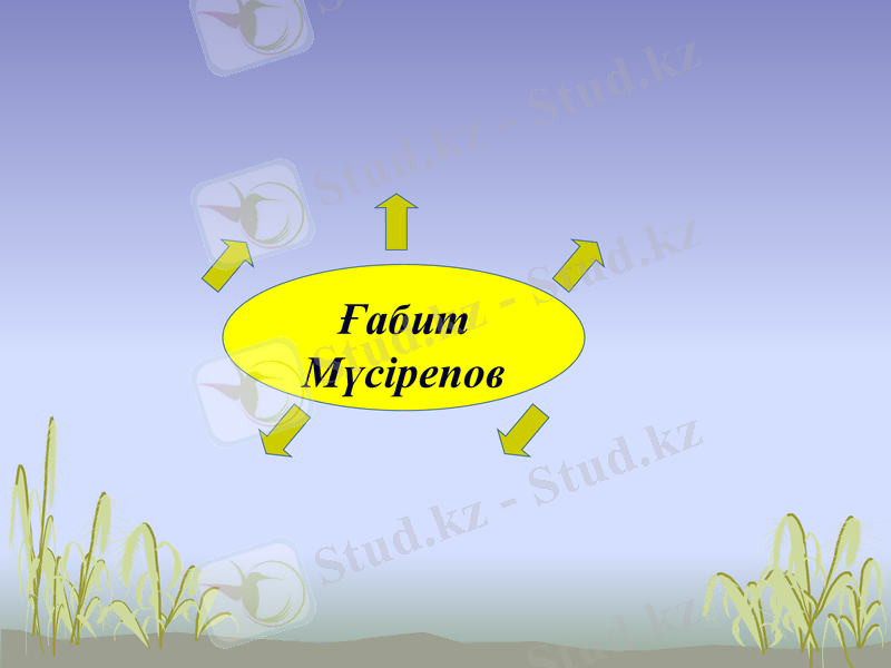 Slide 17
