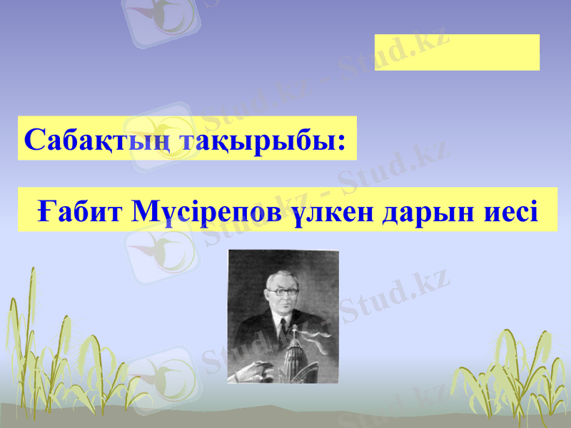 Slide 5