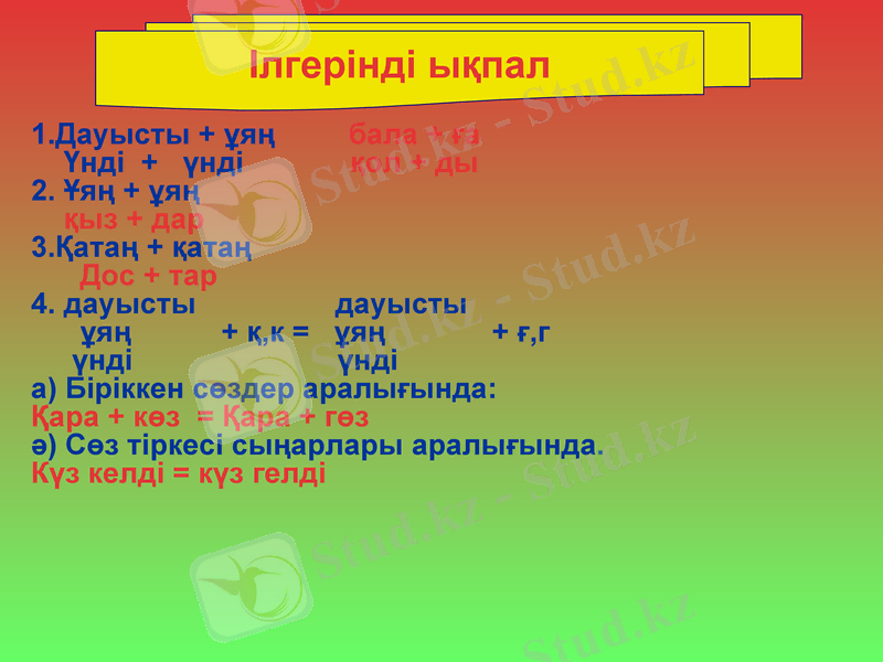 Slide 5